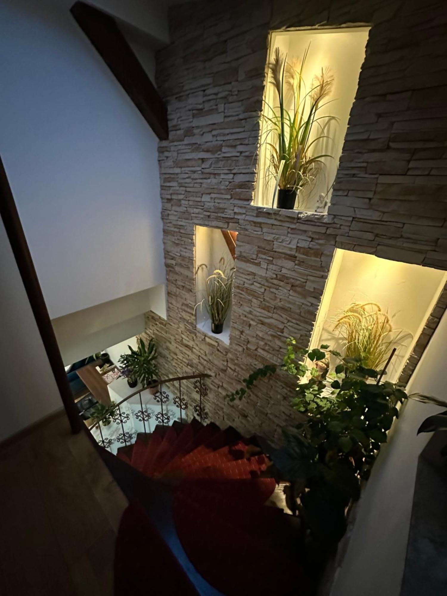 Grazia Apartment Тимишоара Экстерьер фото